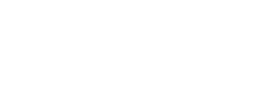 Begum Maritime Consultancy